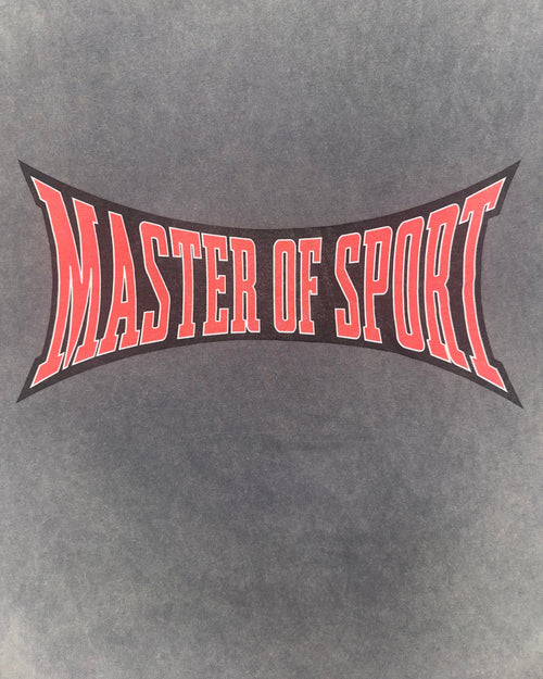 Master of Sport Expanded Logo Box Fit Tee,  Grey